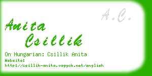 anita csillik business card